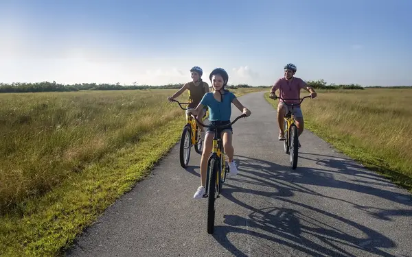 Family biking in Everglades National Park