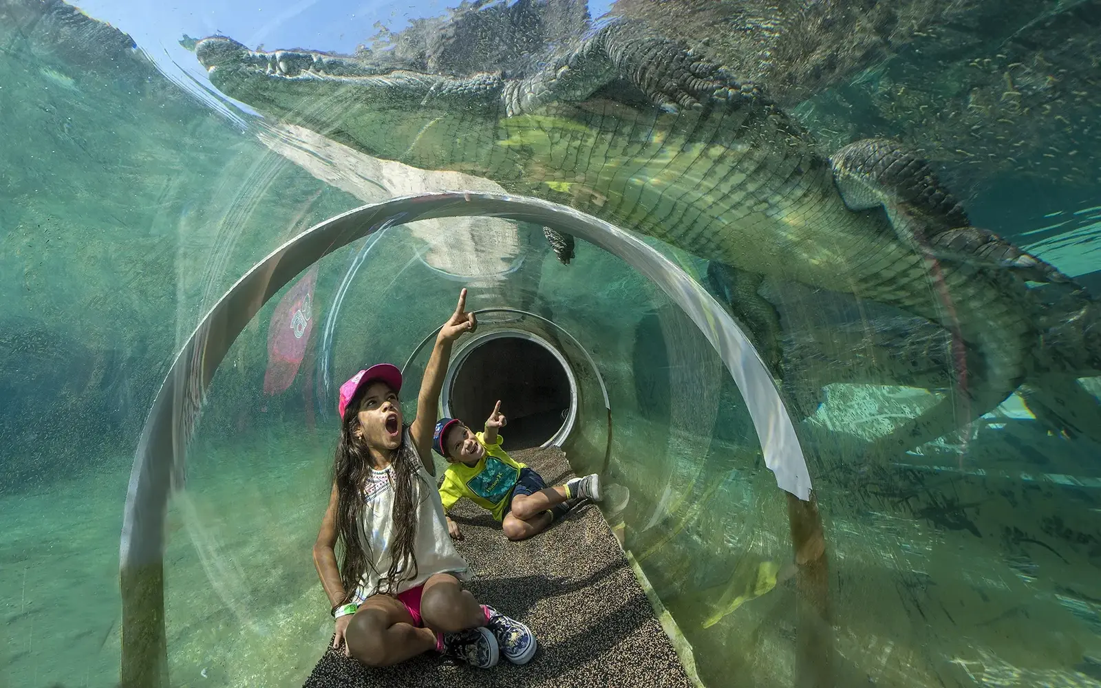A crocodile swims over children inside an exhibit at Zoo Miami