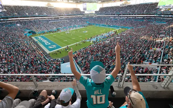 Fans cheering at the Miami Dolphins playing below