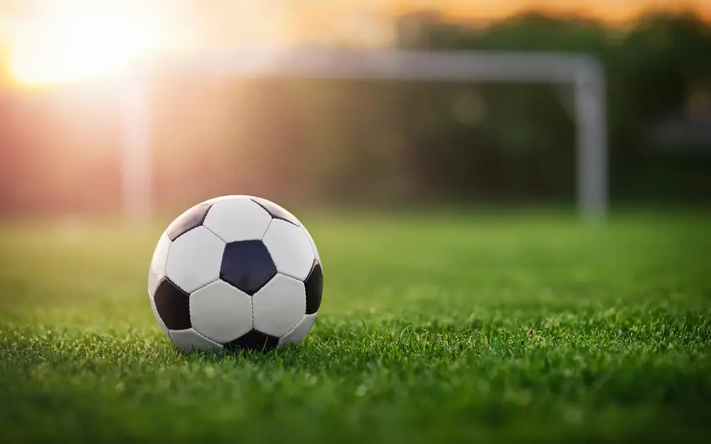 Soccer ball on grass
