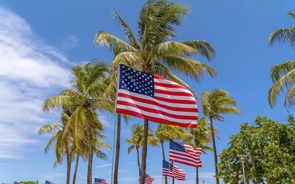 American flags blowing in the ocean breeze with palm trees