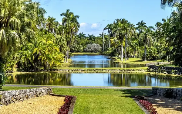 Gardens and pond at Fairchild Tropical Garden
