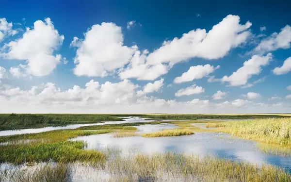 Everglades National Park Marsh and cloudy blue sky