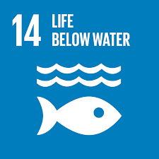 SDG_14.png SDG_14.png