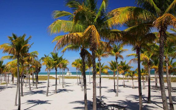 Crandon Park Beach Crandon Park Beach