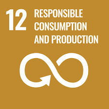 SDG_12.png SDG_12.png